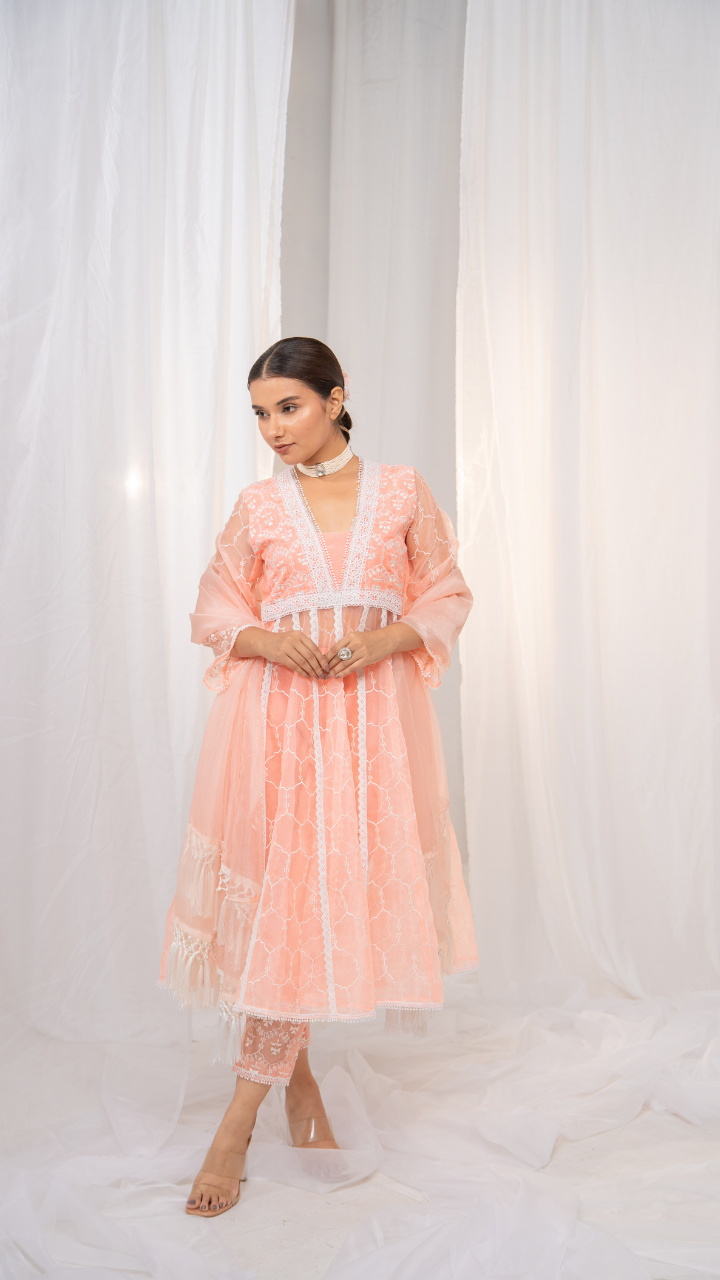 Ethereal Kesari Organza Anarkali with Safed Embroidery, Pants, and Dupatta