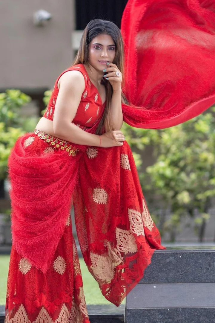 Red Silk Blouse & Net Worked Sharara With Feather Dupatta