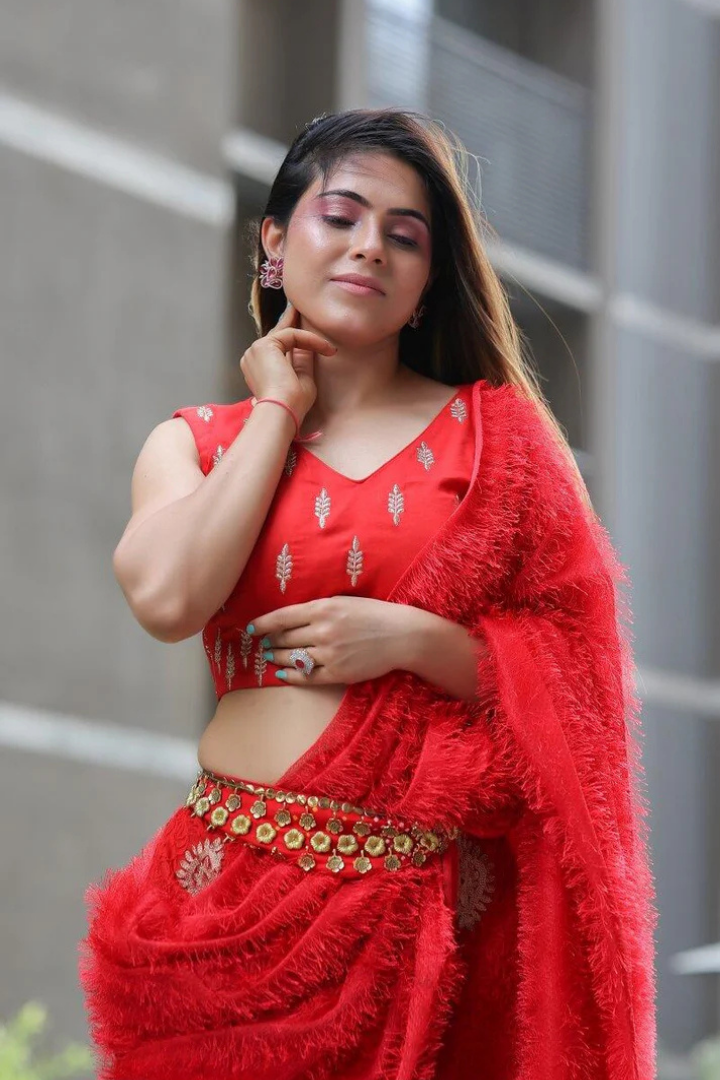Red Silk Blouse & Net Worked Sharara With Feather Dupatta