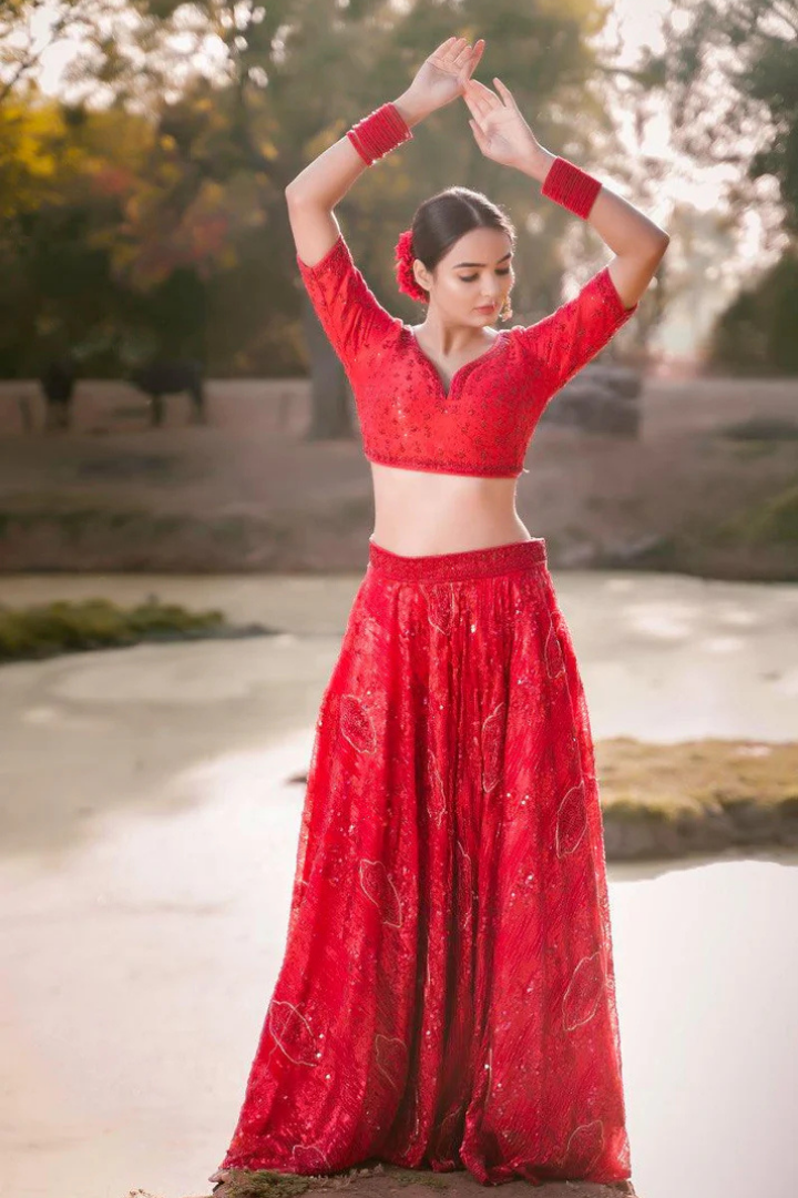 Red Net Sequence Embroidery Lehenga