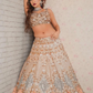 Peach All Over Worked Embroidery Lehenga